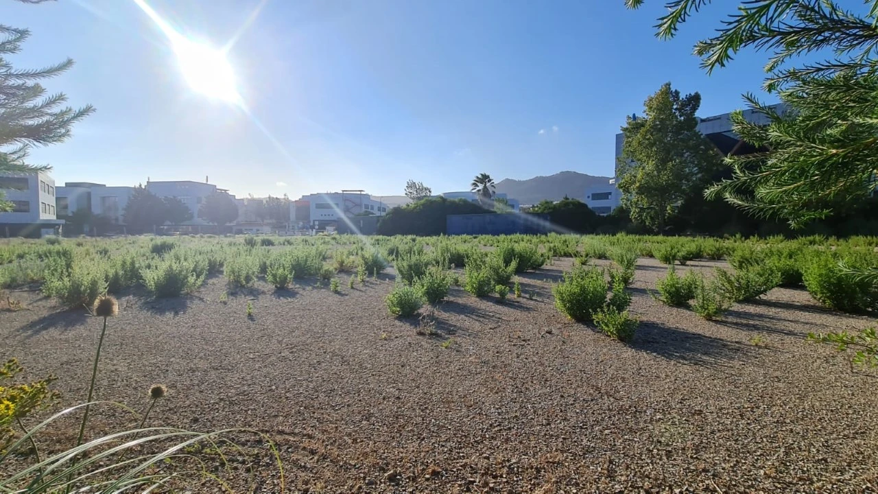 Terreno para Venda em Santa Maria e São Miguel, São Martinho, São Pedro Penaferrim Foto 42