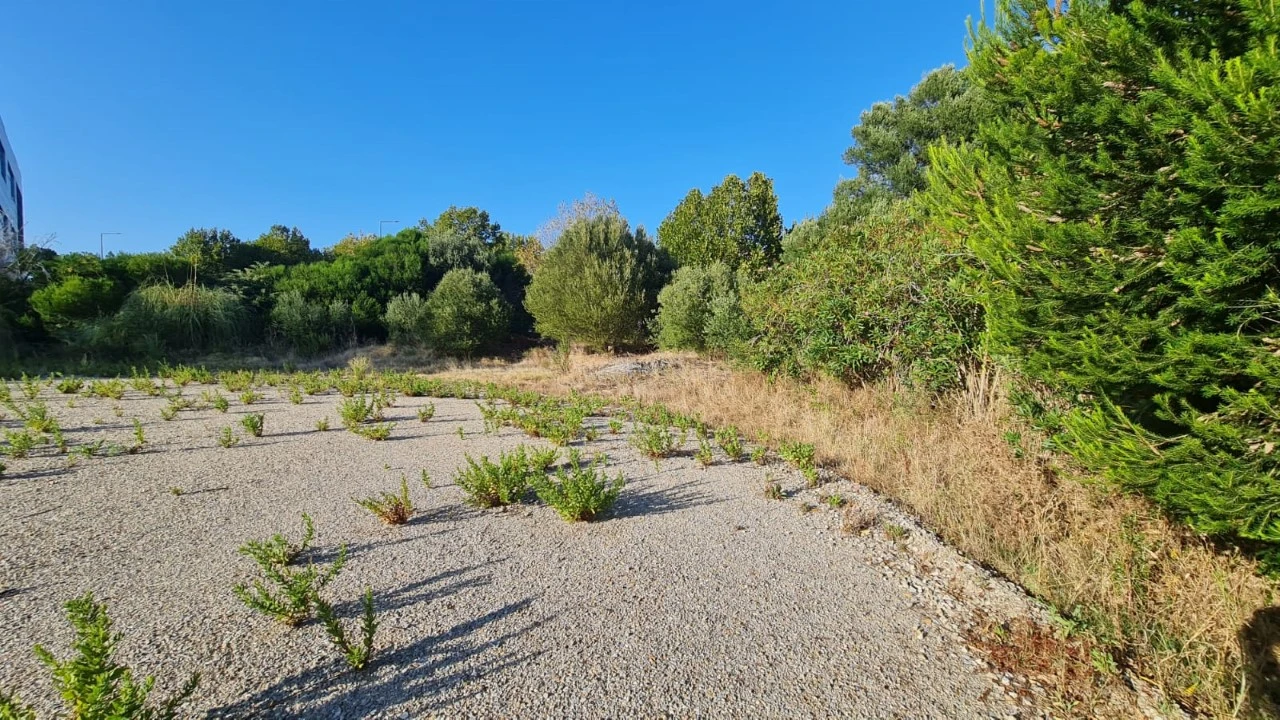 Terreno para Venda em Santa Maria e São Miguel, São Martinho, São Pedro Penaferrim Foto 44