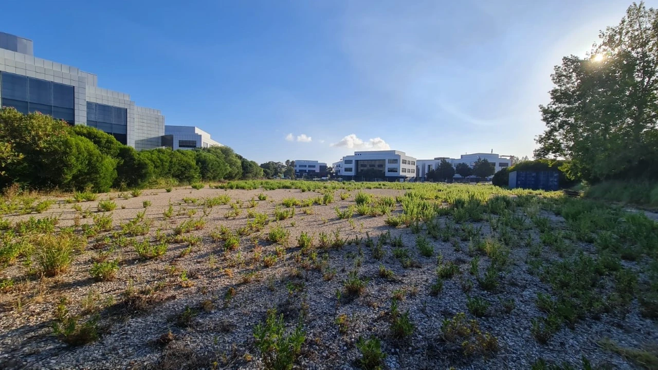 Terreno para Venda em Santa Maria e São Miguel, São Martinho, São Pedro Penaferrim Foto 45