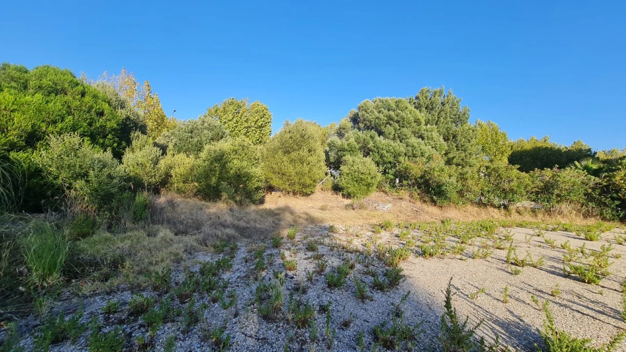 Terreno para Venda em Santa Maria e São Miguel, São Martinho, São Pedro Penaferrim Foto 46