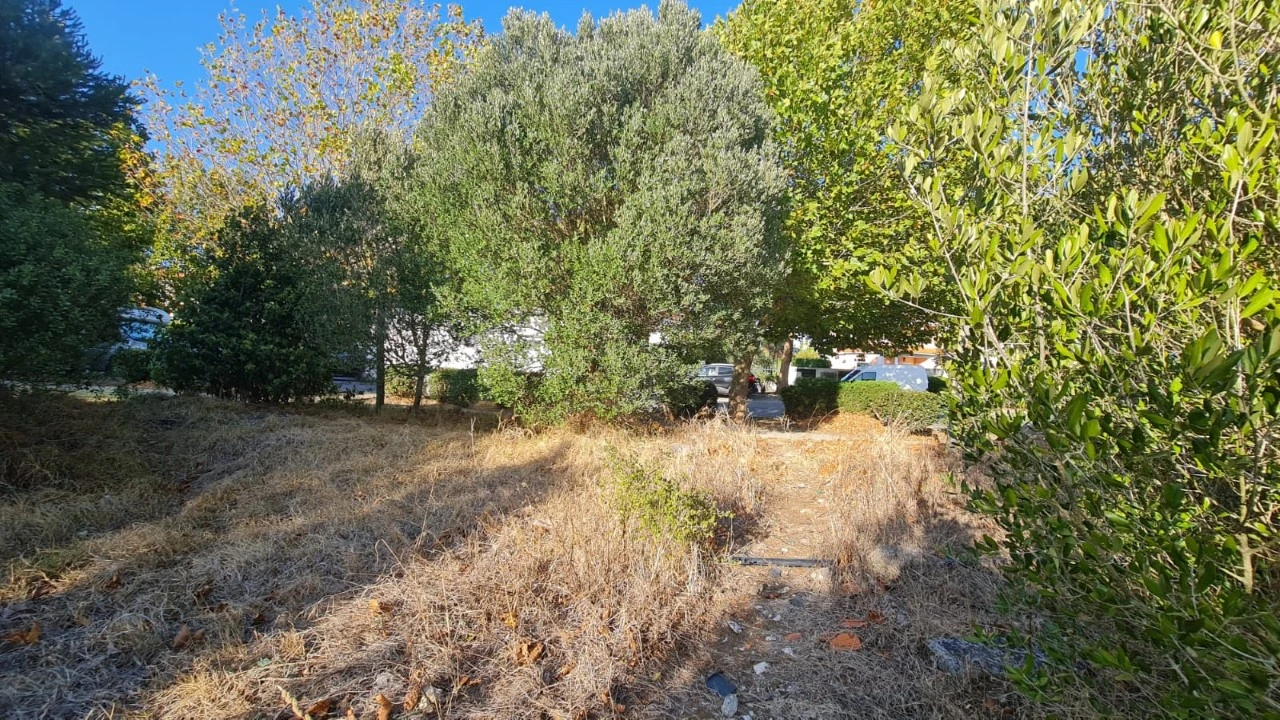 Terreno para Venda em Santa Maria e São Miguel, São Martinho, São Pedro Penaferrim Foto 47