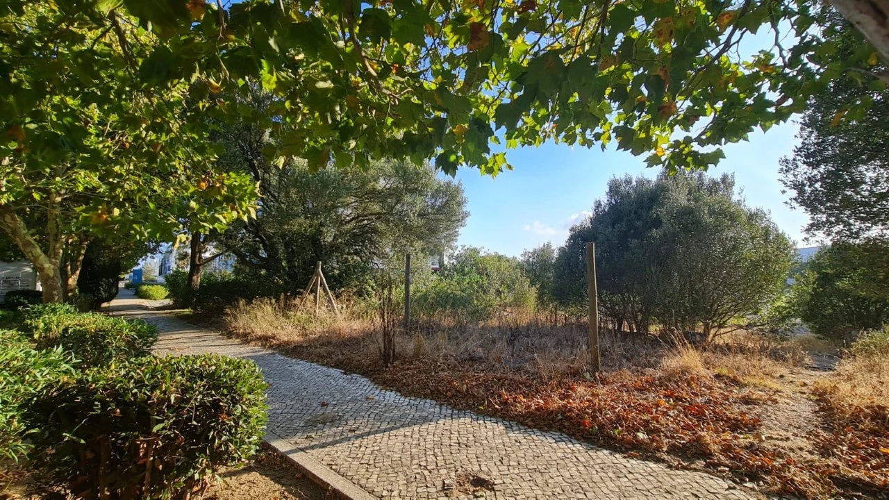 Terreno para Venda em Santa Maria e São Miguel, São Martinho, São Pedro Penaferrim Foto 48