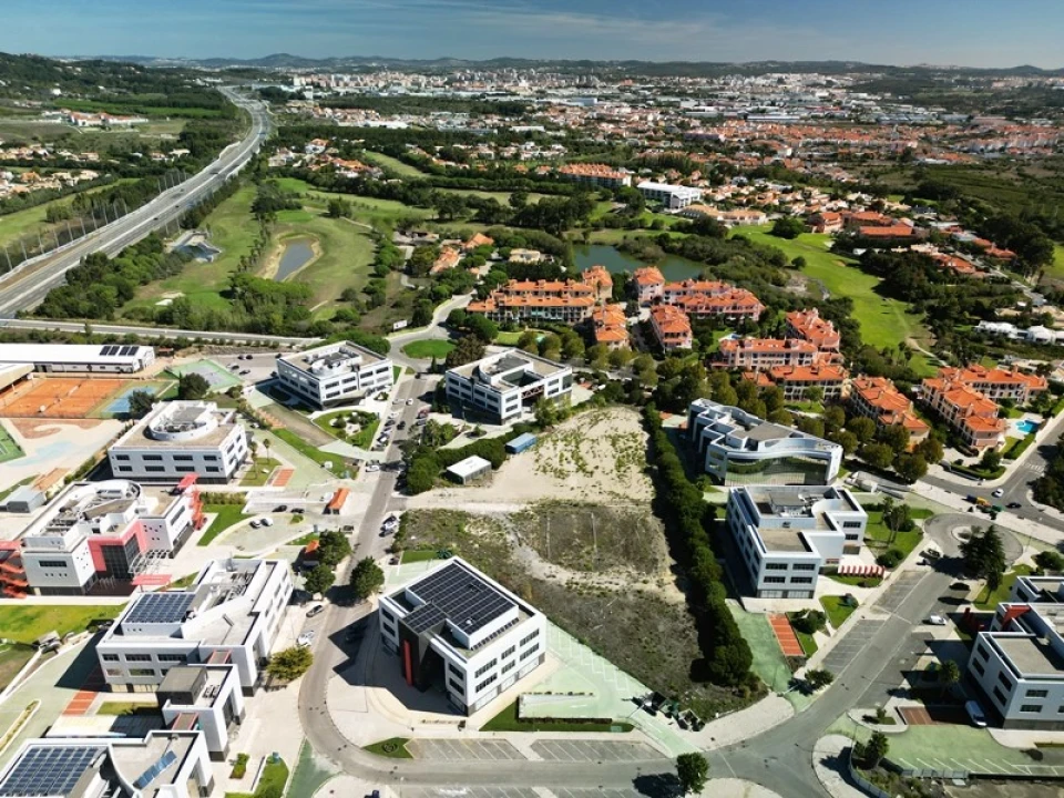 Terreno para Venda em Santa Maria e São Miguel, São Martinho, São Pedro Penaferrim Foto 54