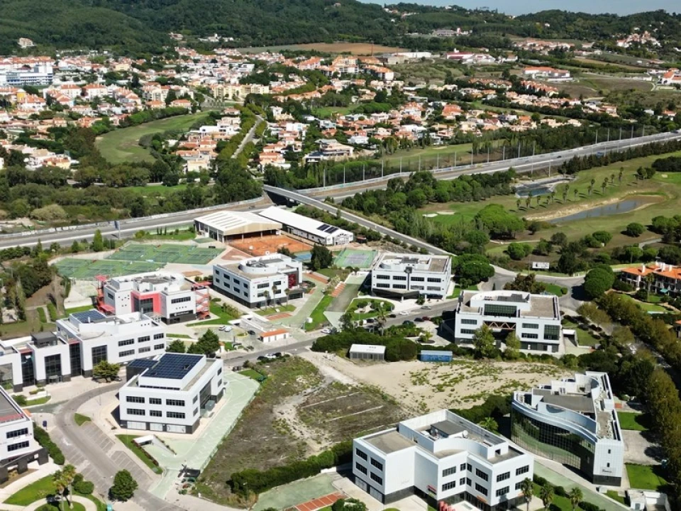 Terreno para Venda em Santa Maria e São Miguel, São Martinho, São Pedro Penaferrim Foto 55
