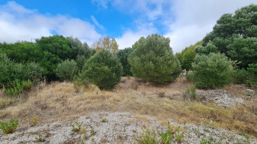 Terreno para Venda em Santa Maria e São Miguel, São Martinho, São Pedro Penaferrim Foto 24