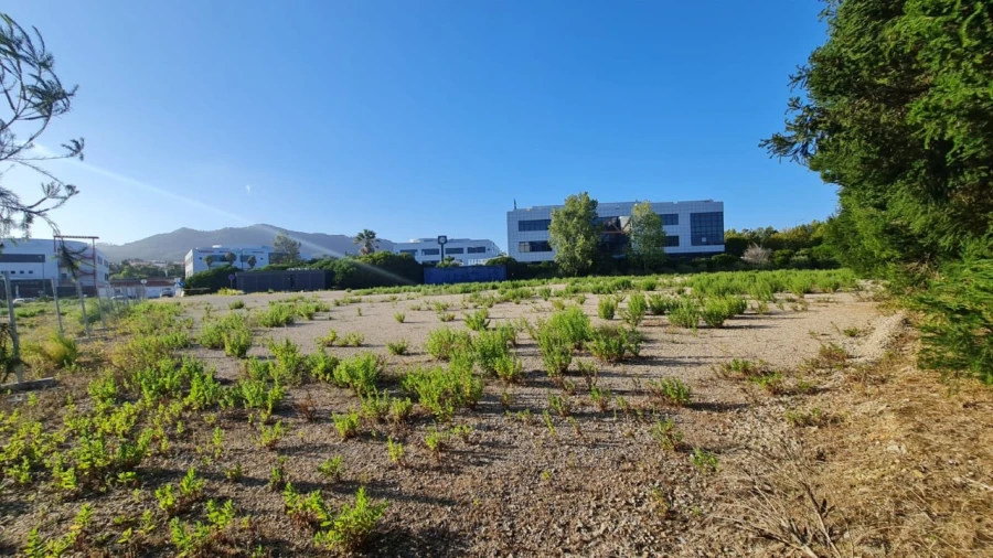 Terreno para Venda em Santa Maria e São Miguel, São Martinho, São Pedro Penaferrim Foto 31
