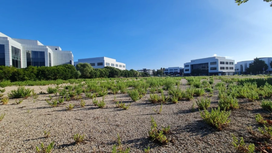 Terreno para Venda em Santa Maria e São Miguel, São Martinho, São Pedro Penaferrim Foto 6