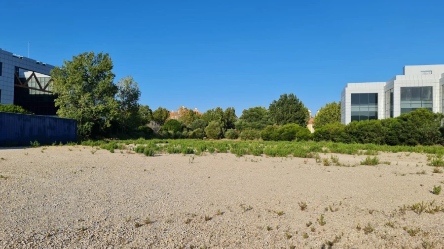 Terreno para Venda em Santa Maria e São Miguel, São Martinho, São Pedro Penaferrim Foto 39