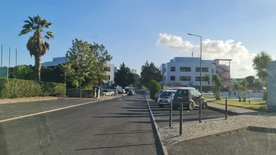 Terreno para Venda em Santa Maria e São Miguel, São Martinho, São Pedro Penaferrim Foto 49
