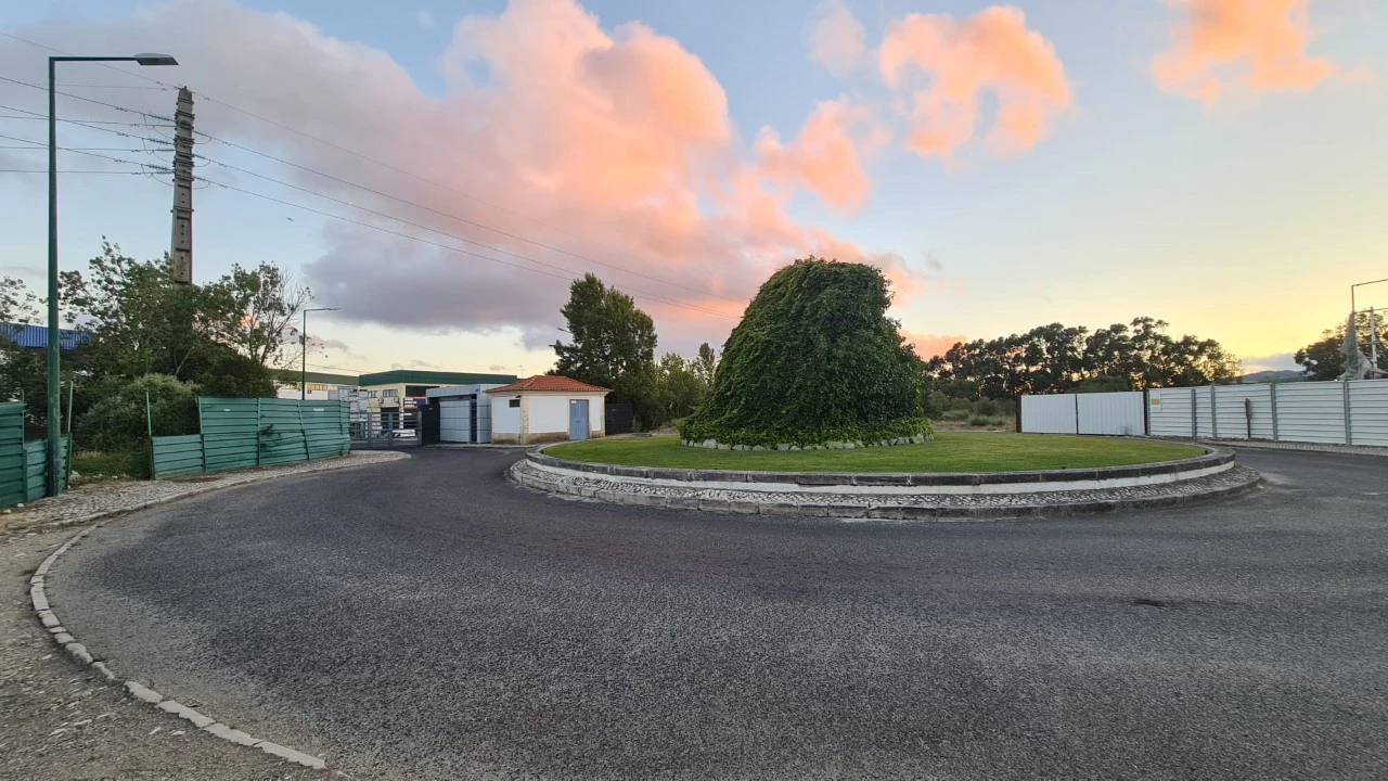 Terreno para Venda em Santa Maria e São Miguel, São Martinho, São Pedro Penaferrim Foto 9