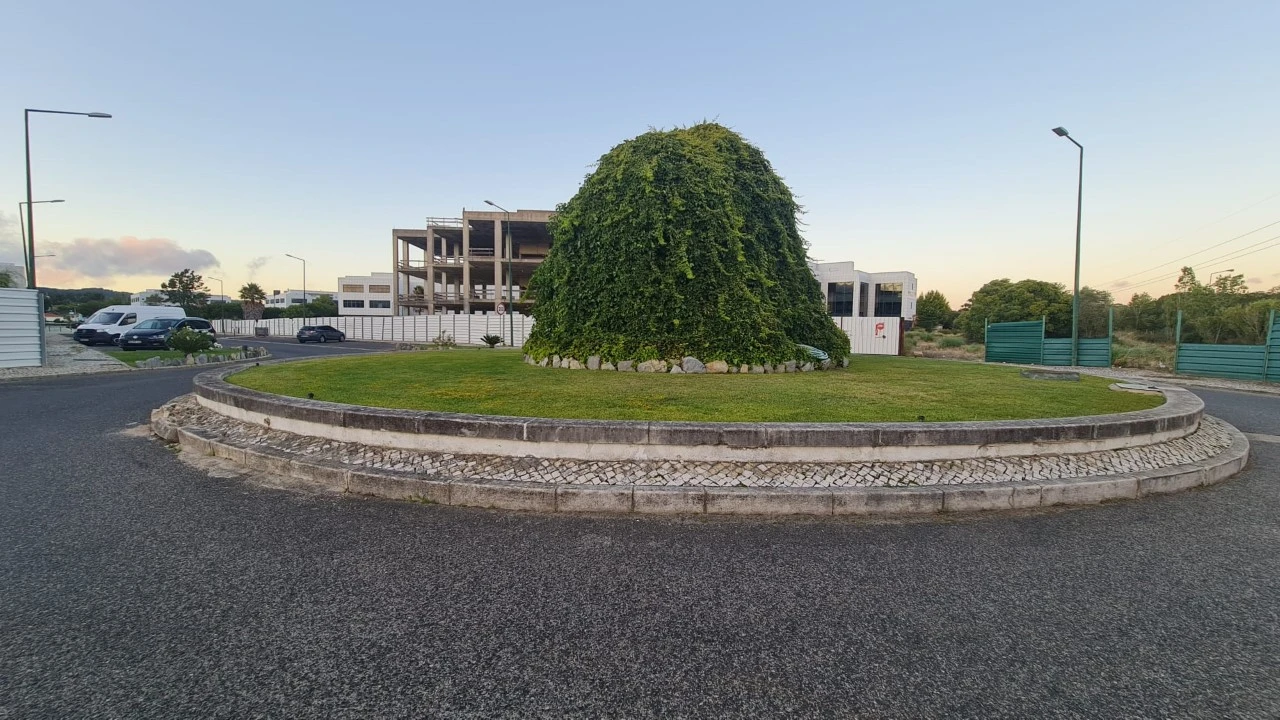 Terreno para Venda em Santa Maria e São Miguel, São Martinho, São Pedro Penaferrim Foto 21