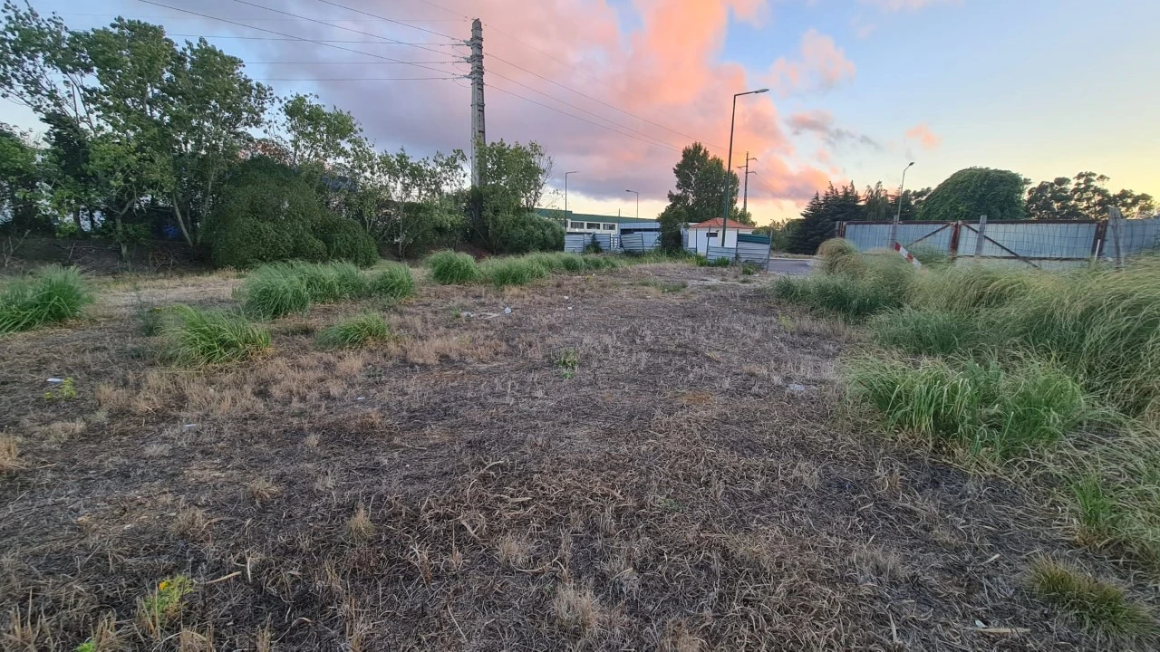 Terreno para Venda em Santa Maria e São Miguel, São Martinho, São Pedro Penaferrim Foto 15