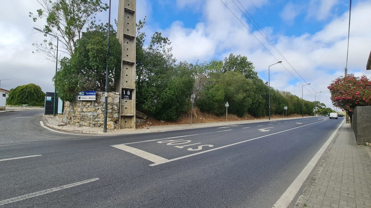 Terreno para Venda em Santa Maria e São Miguel, São Martinho, São Pedro Penaferrim Foto 30