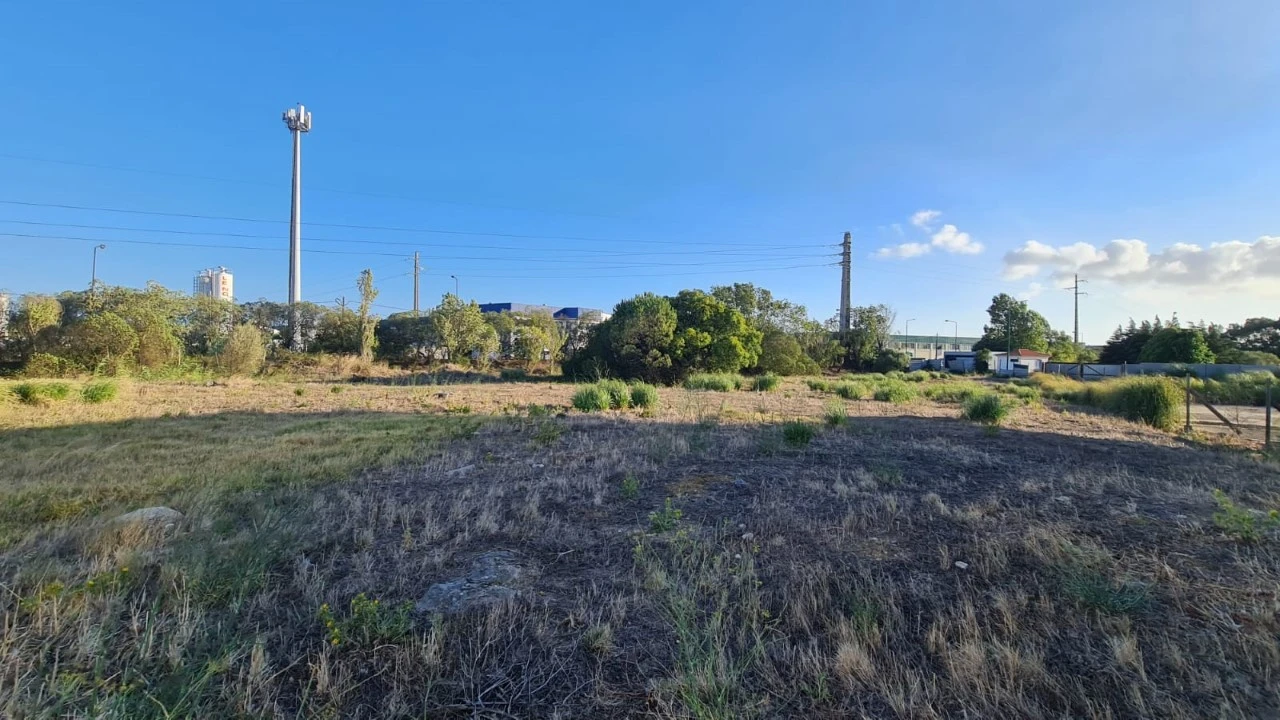 Terreno para Venda em Santa Maria e São Miguel, São Martinho, São Pedro Penaferrim Foto 39