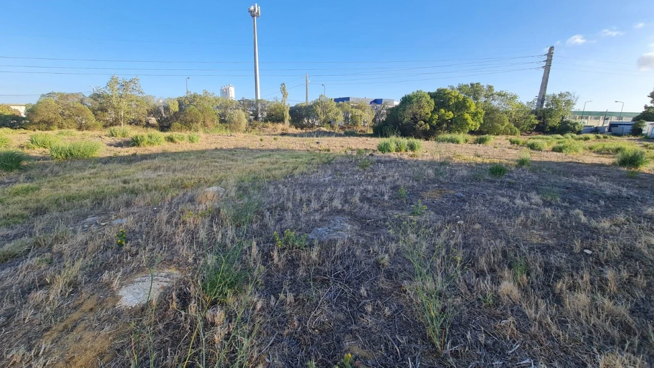 Terreno para Venda em Santa Maria e São Miguel, São Martinho, São Pedro Penaferrim Foto 40