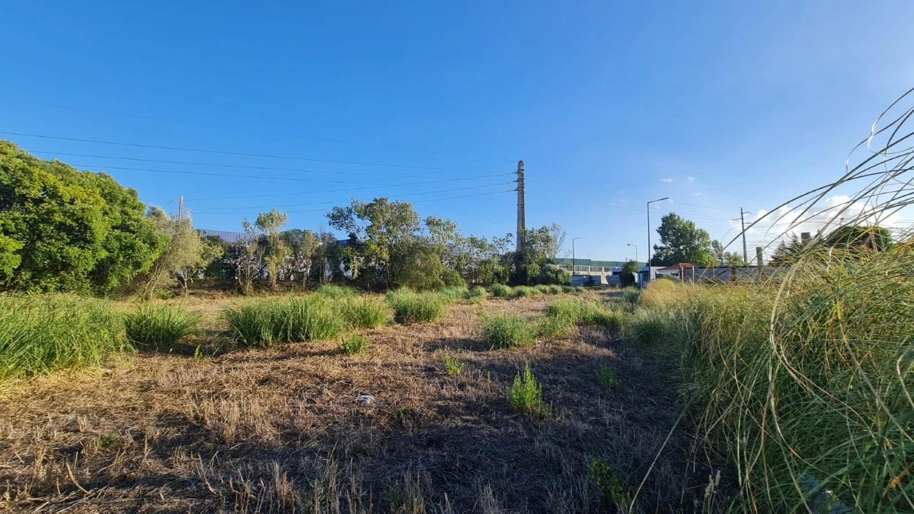 Terreno para Venda em Santa Maria e São Miguel, São Martinho, São Pedro Penaferrim Foto 43