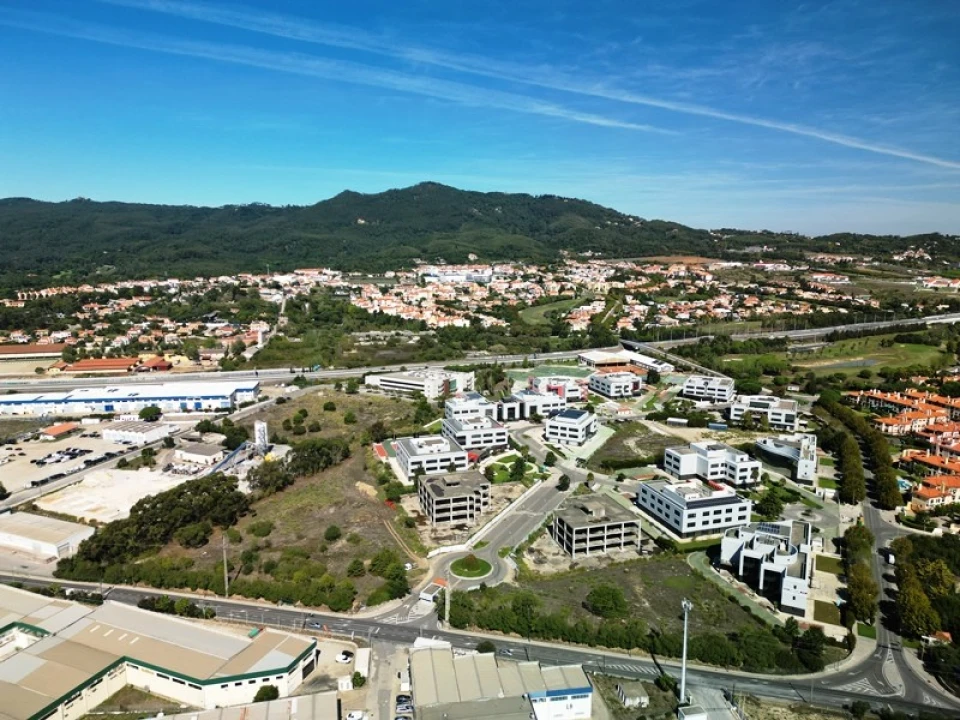 Terreno para Venda em Santa Maria e São Miguel, São Martinho, São Pedro Penaferrim Foto 50