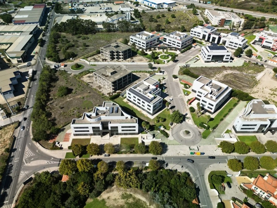 Terreno para Venda em Santa Maria e São Miguel, São Martinho, São Pedro Penaferrim Foto 53