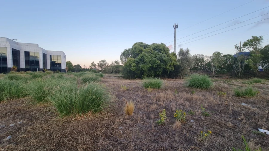 Terreno para Venda em Santa Maria e São Miguel, São Martinho, São Pedro Penaferrim Foto 19