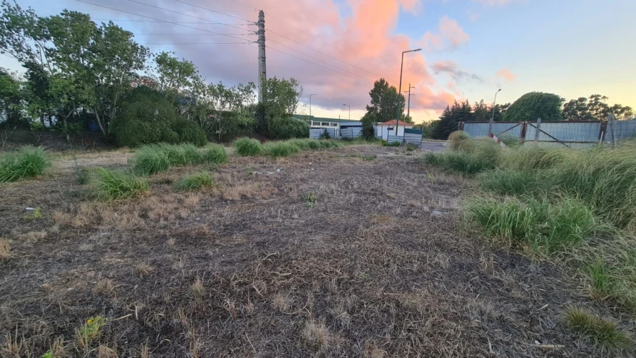 Terreno para Venda em Santa Maria e São Miguel, São Martinho, São Pedro Penaferrim Foto 15