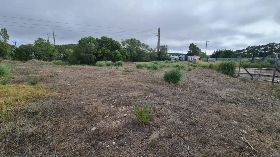 Terreno para Venda em Santa Maria e São Miguel, São Martinho, São Pedro Penaferrim Foto 29