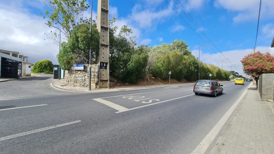 Terreno para Venda em Santa Maria e São Miguel, São Martinho, São Pedro Penaferrim Foto 33