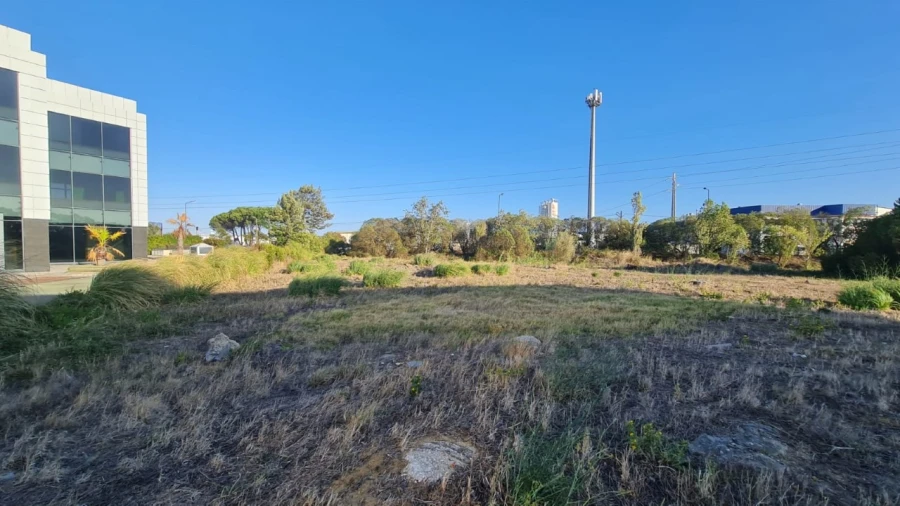 Terreno para Venda em Santa Maria e São Miguel, São Martinho, São Pedro Penaferrim Foto 36