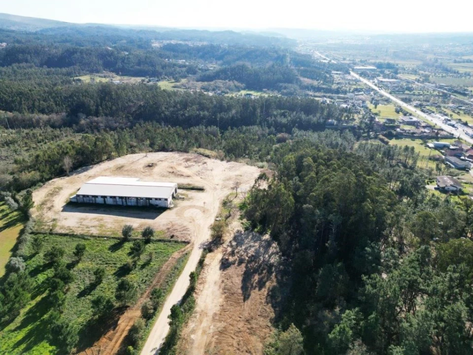 Terreno para Venda em Pelariga Foto 12