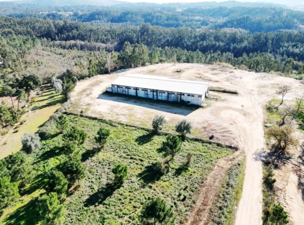 Terreno para Venda em Pelariga Foto 15