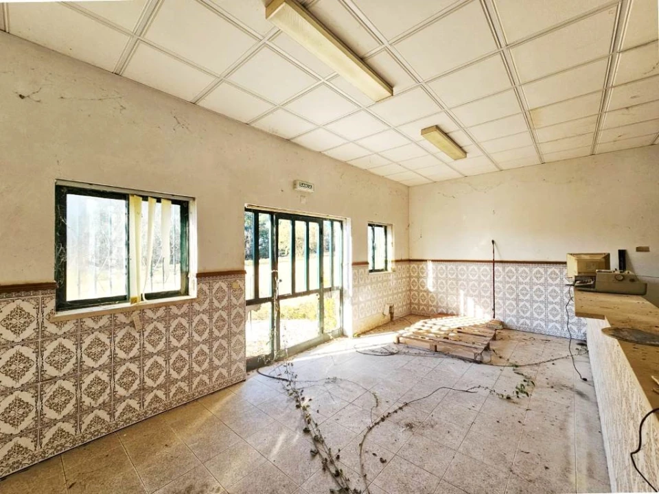 Terreno para Venda em Pelariga Foto 24