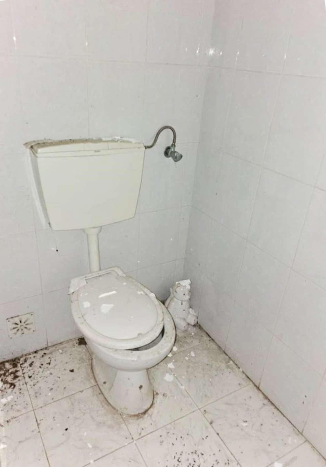 Terreno para Venda em Pelariga Foto 31