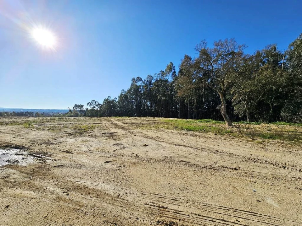Terreno para Venda em Pelariga Foto 55