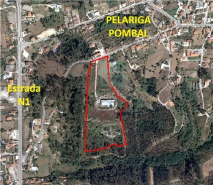 Terreno para Venda em Pelariga
