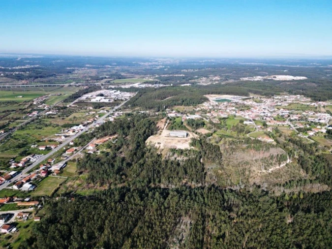 Terreno para Venda em Pelariga Foto 3