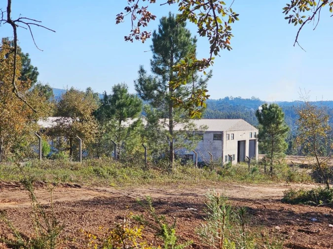 Terreno para Venda em Pelariga Foto 57