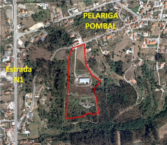 Terreno para Venda em Pelariga Planta 1
