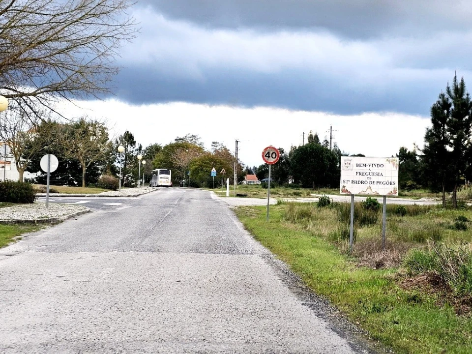 Terreno para Venda em Pegões Foto 9