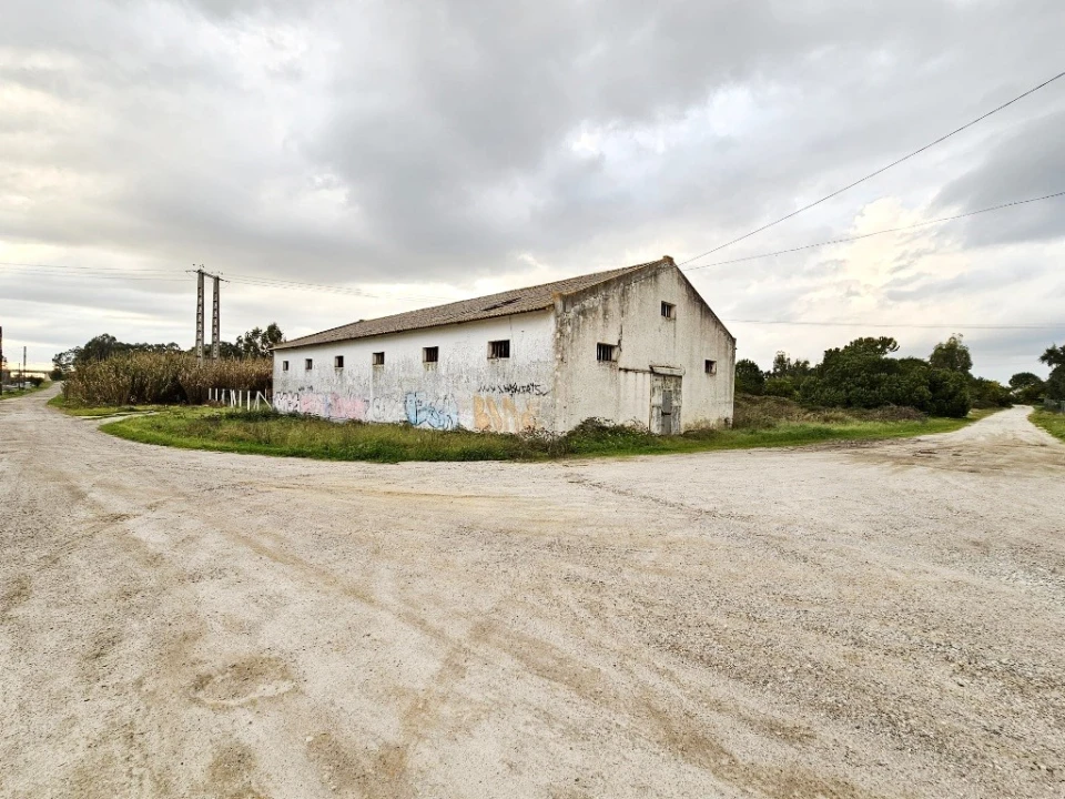 Terreno para Venda em Pegões Foto 15