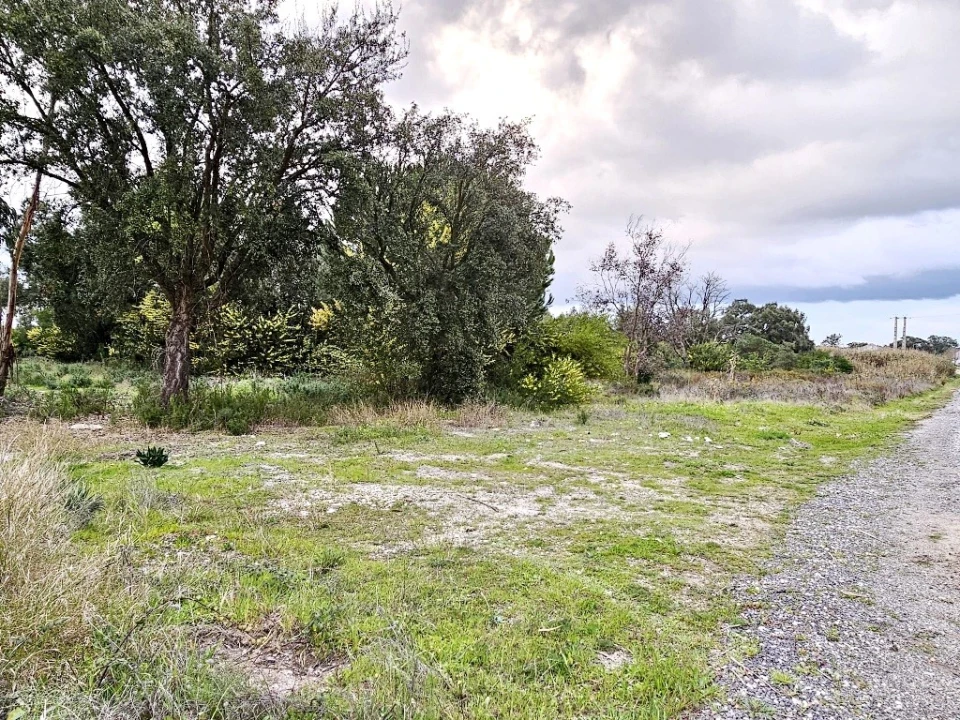Terreno para Venda em Pegões Foto 18