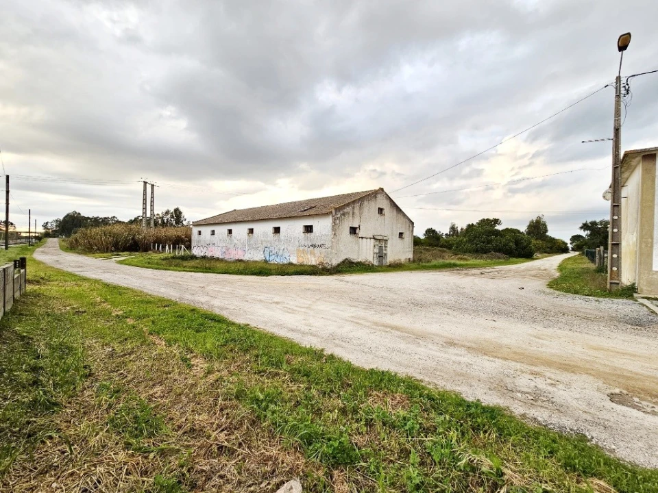 Terreno para Venda em Pegões Foto 19