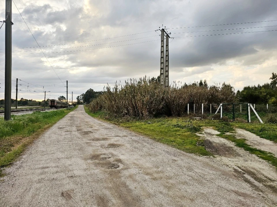 Terreno para Venda em Pegões Foto 24