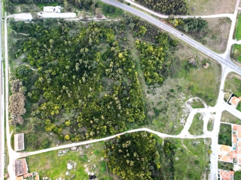 Terreno para Venda em Pegões Foto 31