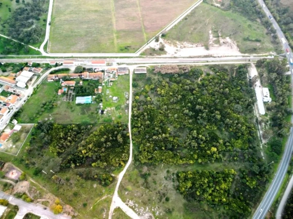 Terreno para Venda em Pegões Foto 32