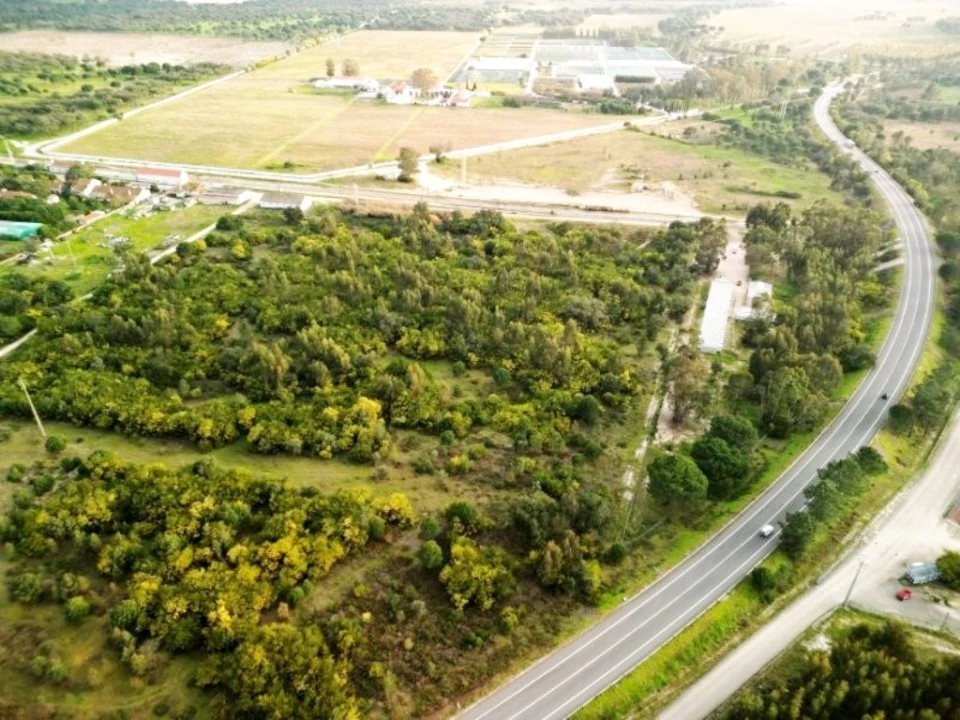 Terreno para Venda em Pegões Foto 39