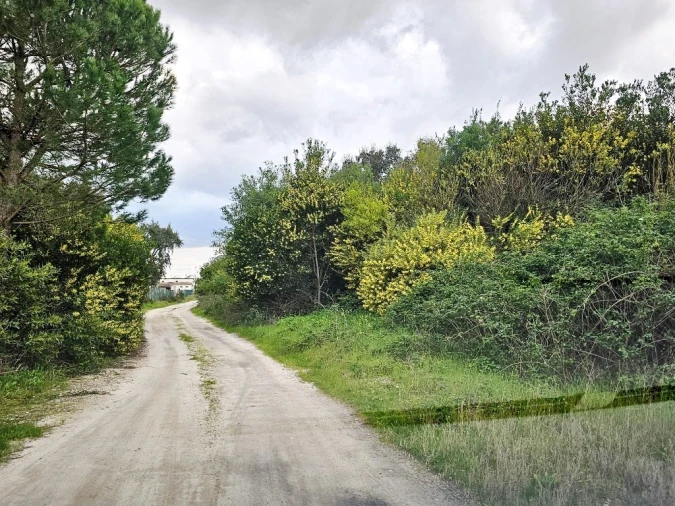 Terreno para Venda em Pegões Foto 12