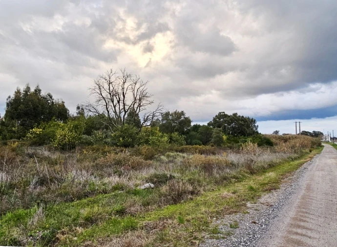 Terreno para Venda em Pegões Foto 17
