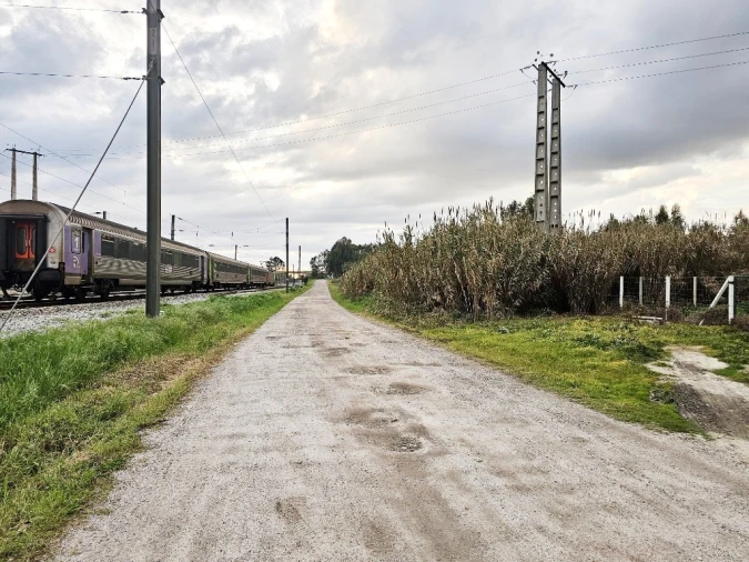 Terreno para Venda em Pegões Foto 20