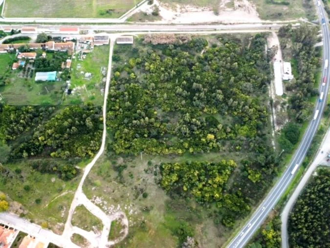 Terreno para Venda em Pegões Foto 33