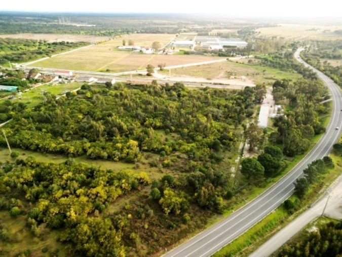 Terreno para Venda em Pegões Foto 40