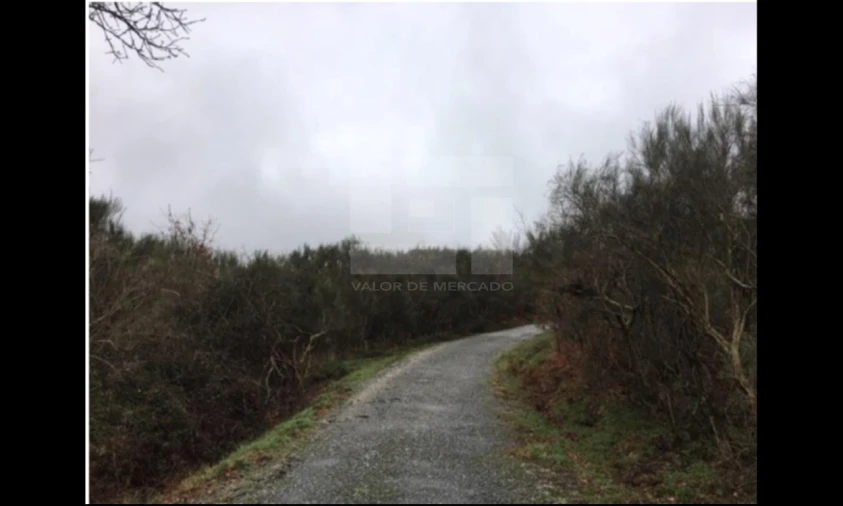 Terreno para Venda em Ovadas e Panchorra Foto 1